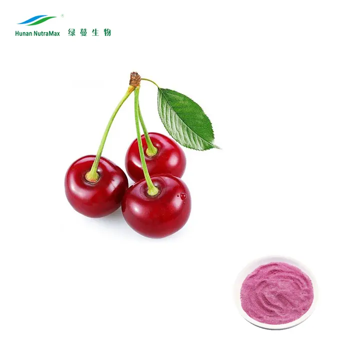 Natural Acerola Cherry Extract Powder 17% 25% VC
