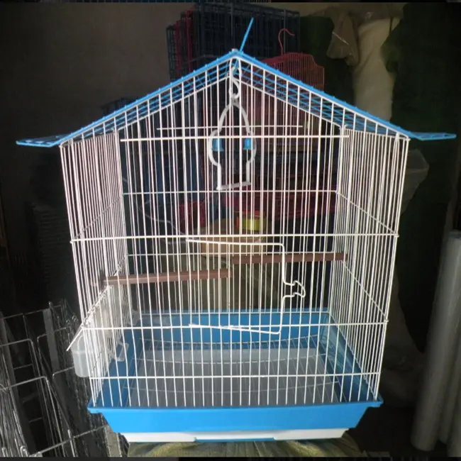 Nhà máy trực tiếp bán buôn mái loại parrot bird thép kim loại lồng chim để bán