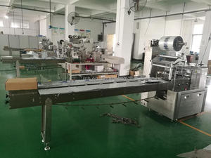 ZP-320 流量包装机