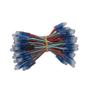 12mm WS2811 Vollfarb-LED-Licht modul DC 5V Eingang IP65 wasserdicht RGB Farbe 2811 IC Digital LED Weihnachts licht