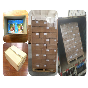 10% オフ品質115g160g 180g 200g 230g <span class=keywords><strong>A3</strong></span> A4 4R速乾性インクジェット高光沢フォト用紙A4、インクジェットフォトペーパー