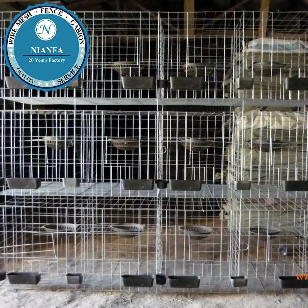 Güvercin kafesi aksesuar dahil olmak üzere gıda ve su sistemi (Guangzhou fabrika)