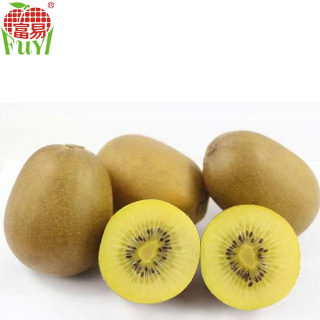 Kiwi frais doré, couleur fruits, exportation en chine