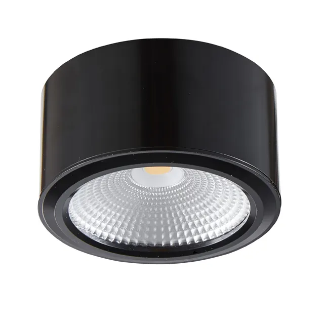 Epistar COB Hitam Putih Downlight Permukaan Mounted LED Lampu Langit-langit untuk Ruang Tamu Kamar Tidur Kantor