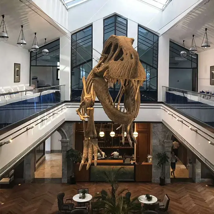 A grandezza naturale di dinosauri t rex modello di scheletro per la vendita