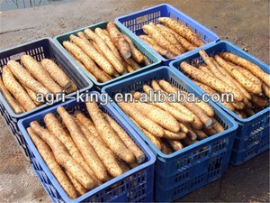 Uluslararası fiyat çin taze Yam ürünleri - Product Image 6