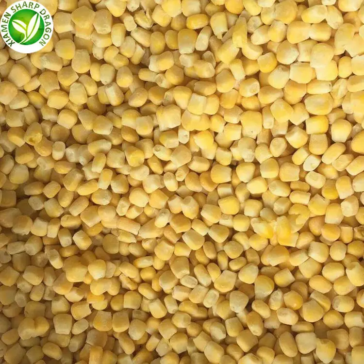 Commercio all'ingrosso di massa iqf congelato taglio kernel di mais dolce