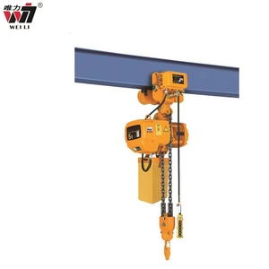 TOYO nitchi <span class=keywords><strong>hitachi</strong></span> Тип развлечения из нержавеющей стали кинотеатр 500 кг 100 кг 0,5 т FEC Электрический цепью блок - Product Image 1