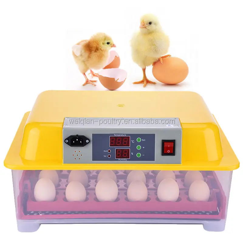 Hot selling cheap chicken egg incubator for sale 24 eggs incubator for sale WQ-24(12v)