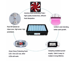 300w led büyümek işık tam spektrum topraksız bahçıvanlık bitki doku kültürleri led lamba aydınlatma