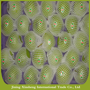 Chinese Granny <strong>Smith</strong> - Product Image 6