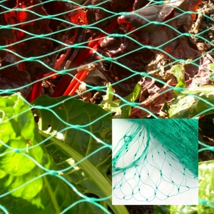 HDPE Vogel netz Anti Vogel netz Vogelschutz netz für die Obstbäume - Product Image 2