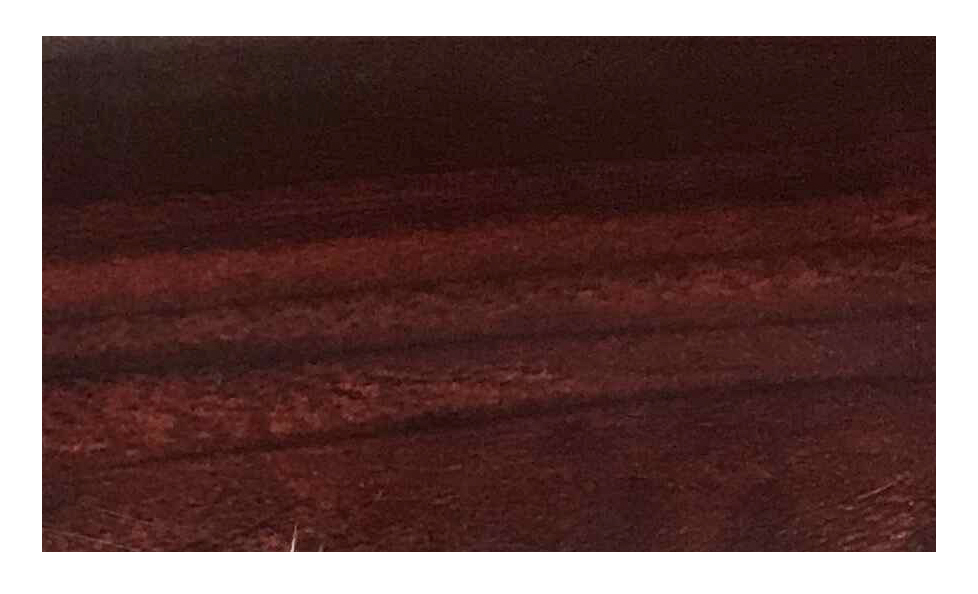 Bois sandale rouge