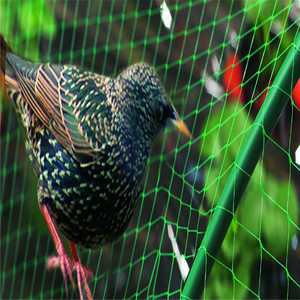 <strong>Bird</strong> <strong>Nets</strong> for Catching <strong>Birds</strong>/<strong>bird</strong> Capture <strong>Nets</strong> - Product Image 5