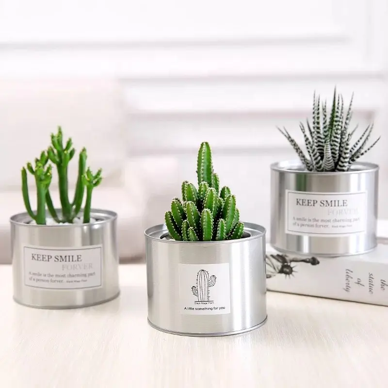 Mini maceta de metal vacía personalizada para escritorio, de acero, para cactus y plantas, venta al por mayor