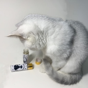 Heyri-botella de hierba gatera para mascotas, producto en oferta, fresca y seca, orgánica, natural, para gatos, gatitos, 40ML, 20g, de vidrio