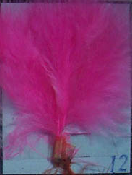 Rose Chaud