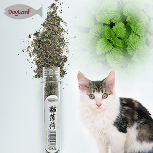 Hierba gatera de juguete para gatos, hierba gatera fresca, botella orgánica natural, aceite de hierba gatera, 45ML