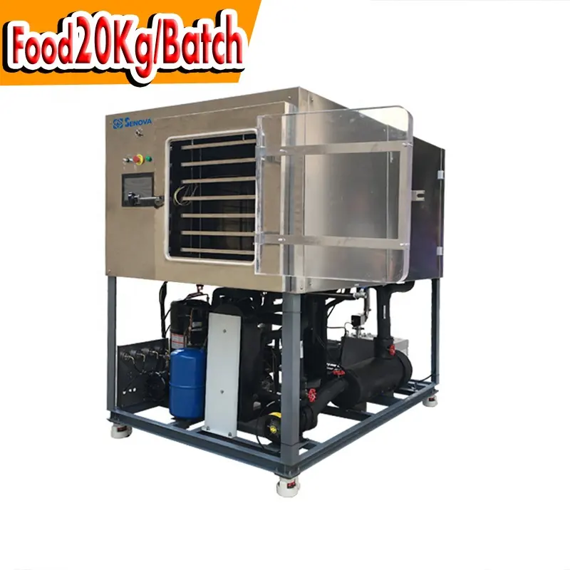20Kg Mini Liofilização industrial seco vácuo Food Freeze Secagem Máquina
