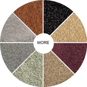 Digital ZRWS marca semillas de arroz máquina de clasificación de Color/grano largo vaporizado clasificador de Color de arroz - Product Image 6