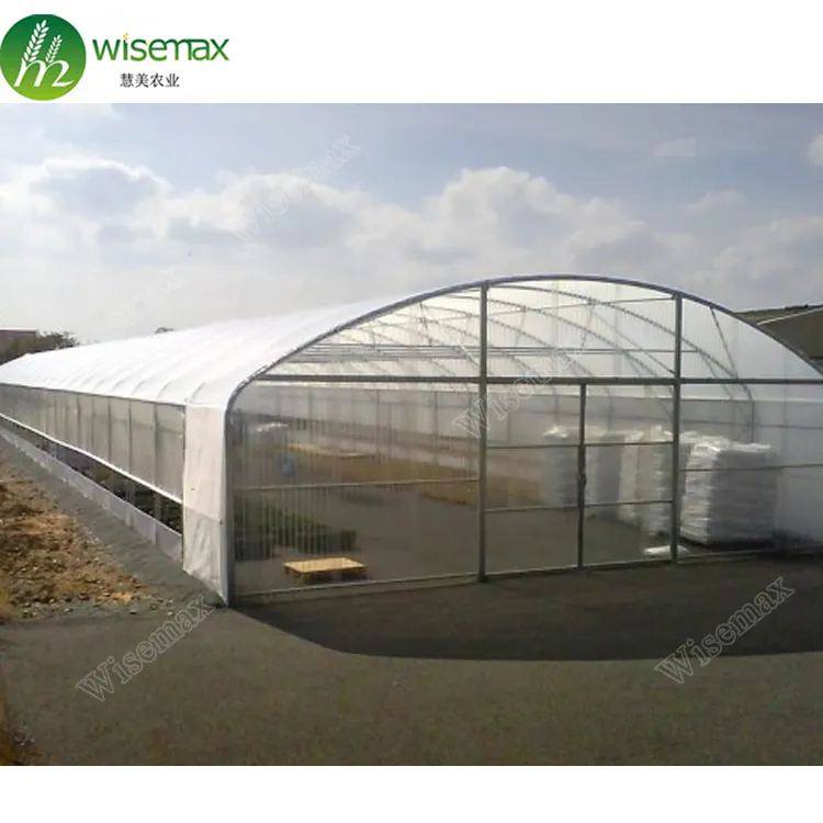Hot sale factory price plastic film tunnel commercial green house