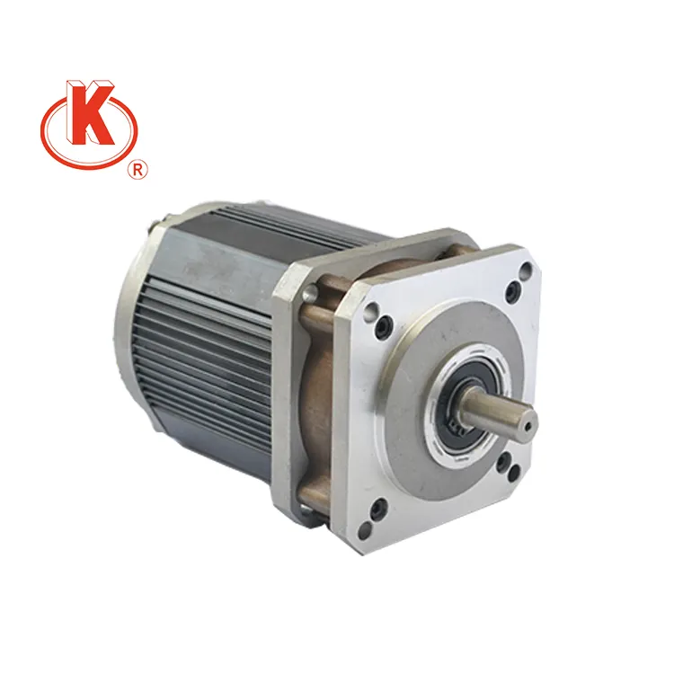 220V 55mm motor de alto par bajas rpm ac engranaje motor