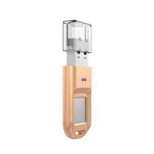 DEVIA di Impronte Digitali di crittografia 32 gb ad alta velocità usb 2.0 flash drive bastone - Product Image 1