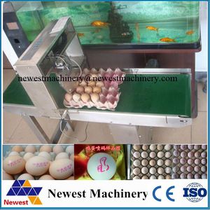 Günstiger Preis Eier druckmaschine/Verfalls datum Chargen nummer Eiercode-Druckmaschine - Product Image 3