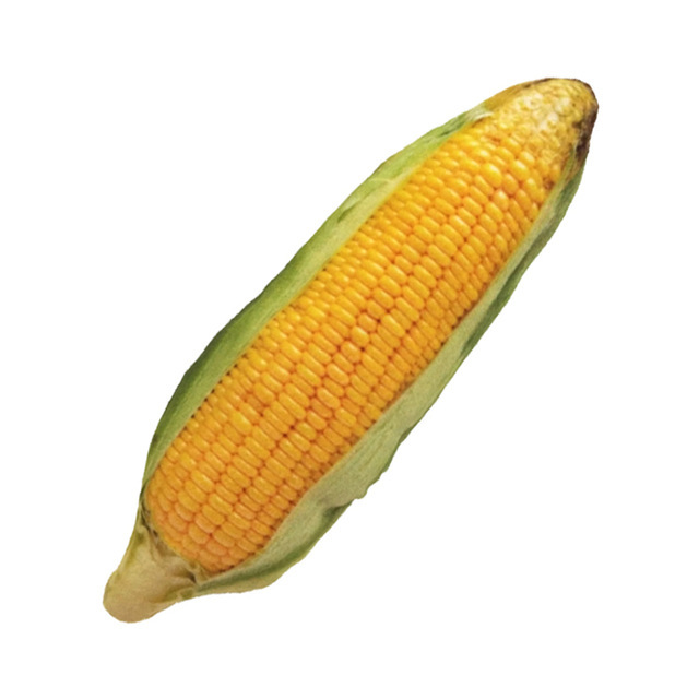 Maíz amarillo