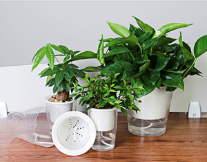 屋内植木鉢 | 大型のモダンなプランター、植物スタンドに最適なコンテナ - Product Image 1