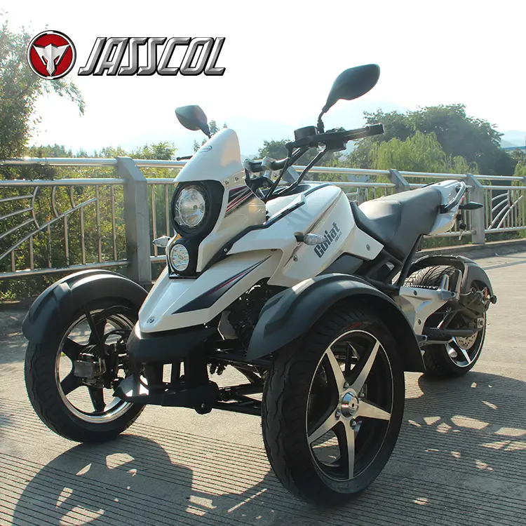 200cc 3 바퀴 오토바이 자동적인 trike 및 세발자전거