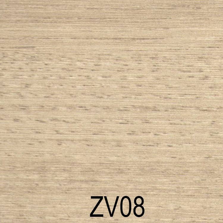ZV08