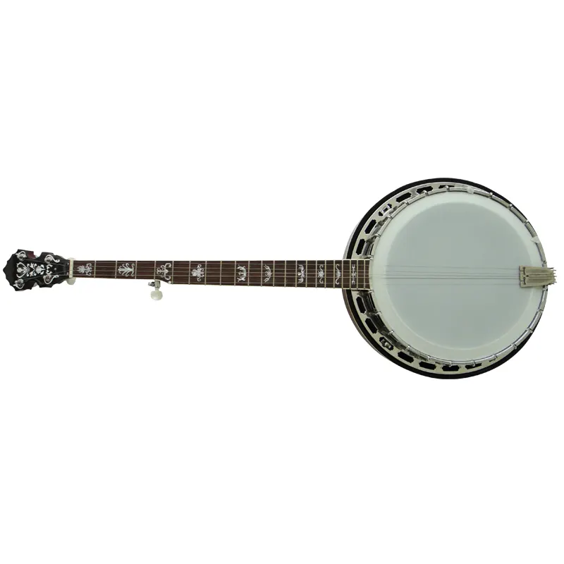 Cinese di alta qualità Afanti 5 Corde strumenti musicali banjo per la vendita