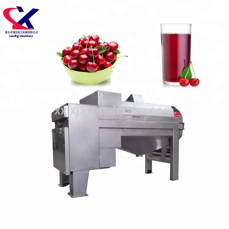 Large Capacity Advanced Automatic Cherry Pitting Machine, Industrial Production Cherry Pitter, 2000kg Cherry Destoner