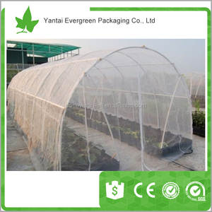 Anti Insetti Netto EGP HDPE in Rotolo 8X30M Tessuto di Maglia 100% Del Virgin HDPE Campione Gratuito Magazzino Offerto Evergreen 5 Tonnellate CN;SHN Forte - Product Image 4