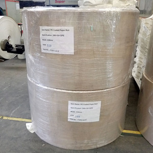 Doğrudan fabrika fiyat tek taraflı PE kaplamalı kağıt 240GSM 250GSM 280GSM fincan stok kağıt rulosu - Product Image 3
