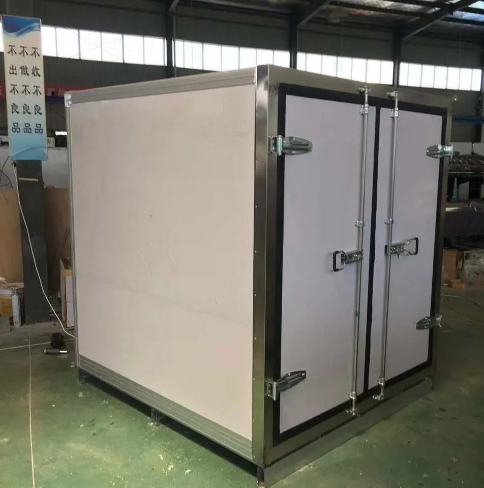 Mini sala de almacenamiento fría portátil, CC, integrada, para camioneta, camioneta de helados