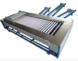 Date palm sortierung und reinigung maschine/sortierung system - Product Image 5