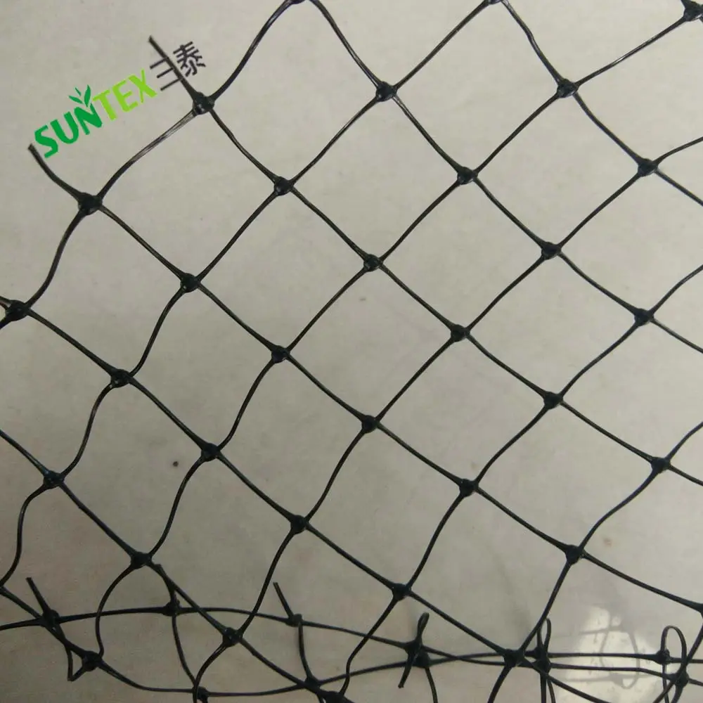 Agriculture Black 2*2CM Hole Size Anti Bird Net Orchards Fish Pond Cover Bird Proof Mesh