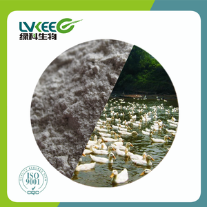 Chế phẩm sinh học 500 tỷ CFU/G bacillus subtilis cho ngành công nghiệp phụ gia thức ăn gia súc - Product Image 1