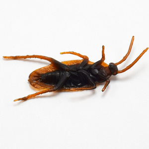 Wholesale Plastic Animal Artificial Cockroach Tricky <strong>Toys</strong> for Capsule <strong>Toys</strong> - Product Image 3