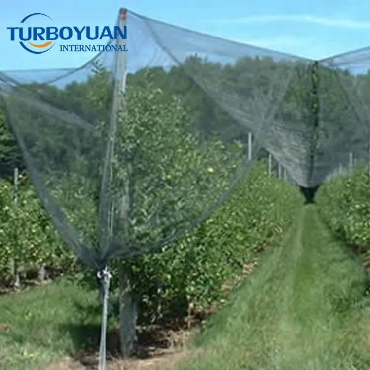 Rede de plástico anti-ruído preto/branco, rede tecido para proteção ao ar livre de tomate