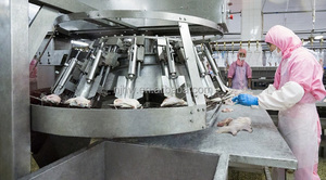 肉加工機械鶏脚太ももデボーナー
