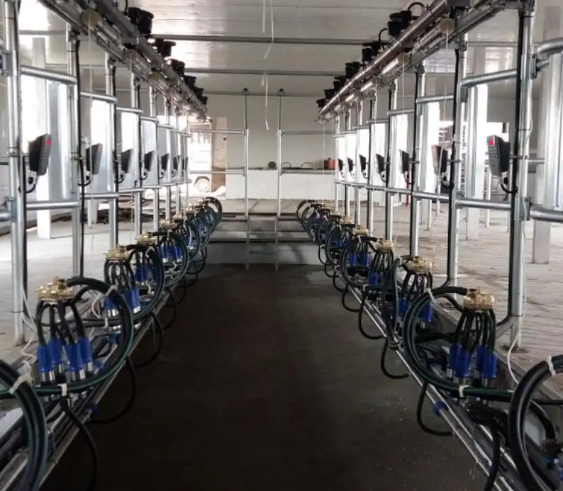 Type chevrons salle De Traite de Vache Avec Lait Électrique Système de Compteur