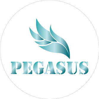 company logo