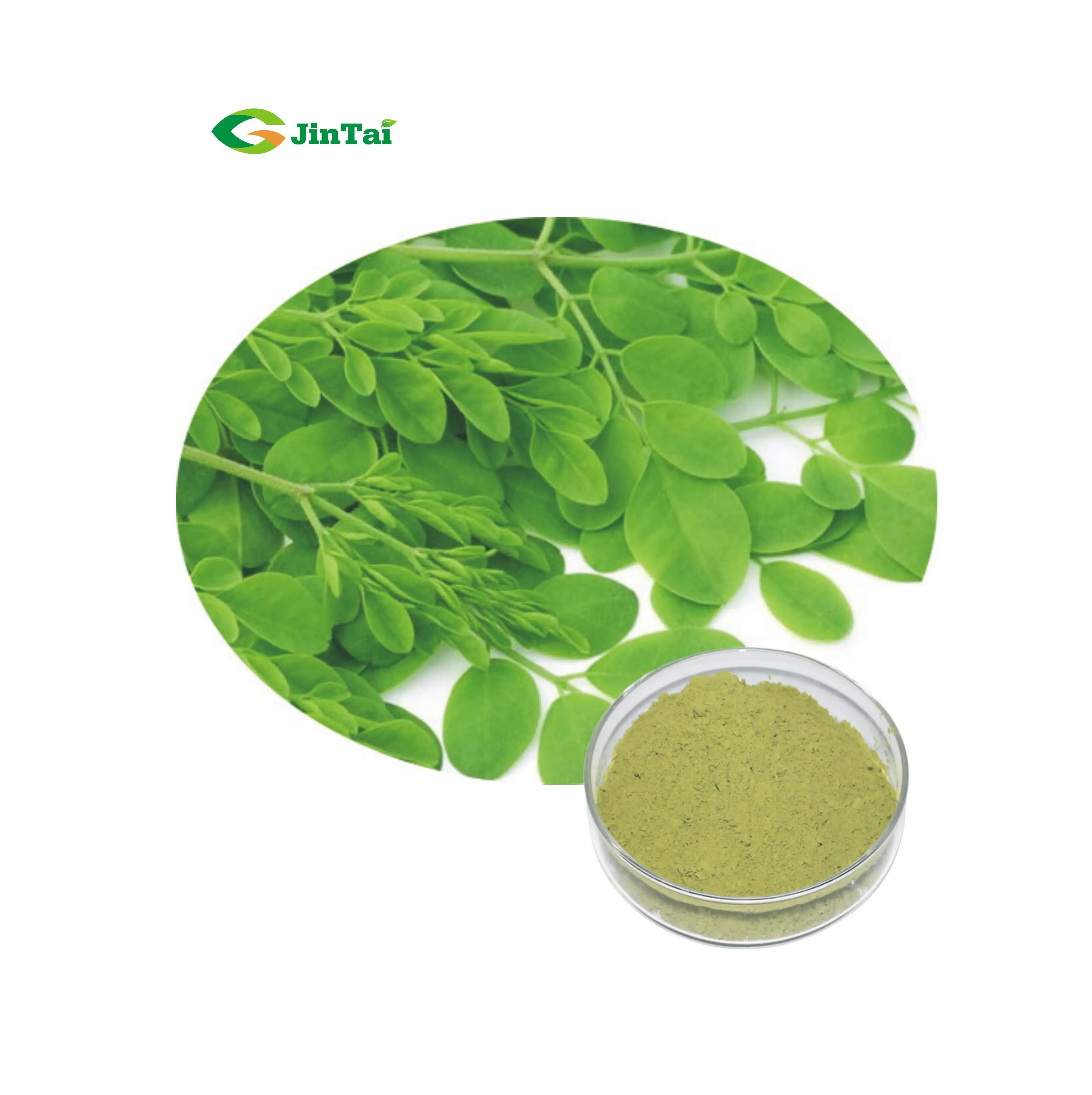 Kruid Moringa Bladeren Moringa Oleifera Blad Poeder