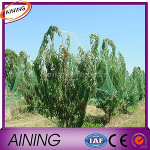 Uv 5 % anti vogelnetzjagd Obstgarten Vogel <span class=keywords><strong>neting</strong></span> traube Vogel Netzabdeckung