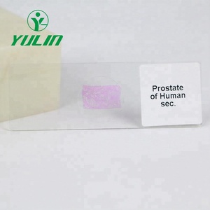 Microscopio de varios niveles para estudiantes, estudio de planta, células madre, toboganes - Product Image 3