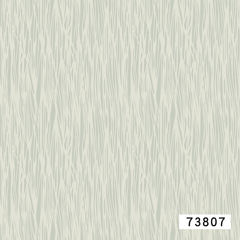 73807
