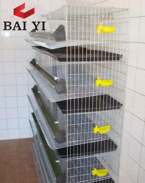 Poultry Farm In Malaysia Hot Sale H Type Broiler Layer Quail Cage With Equipment